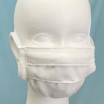 ふるさと納税 与謝野町 丹後ちりめん キシリトール加工 夏マスク 5枚セット Lサイズ(男性向け)
