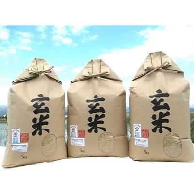 ふるさと納税 長浜市 栽培期間中農薬不使用 滋賀県産 特別栽培米 コシヒカリ 玄米5kg×3袋 令和5年産