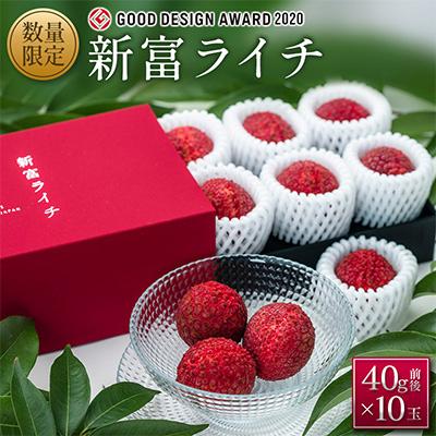 ふるさと納税 新富町 [マツコの知らない世界で紹介!]先行受付 希少!宮崎県産完熟ライチ「新富ライチ」40g前後×10玉