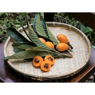 ふるさと納税 長崎市 ビワの葉ごころ オマモリジェルクリーム50g【皮膚科医監修ドクターズコスメ】3点セットの画像