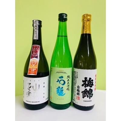 ふるさと納税 鬼北町 ワイングラスで美味しい日本酒アワード2020プレミアム大吟醸の部　金賞受賞　至高の日本酒セット