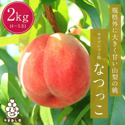 国内配送 山梨市 ふるさと納税 サラブレット桃 規格外に大きく甘い山梨の桃 なつっこ 2kg 高速配送 Esiba Tg
