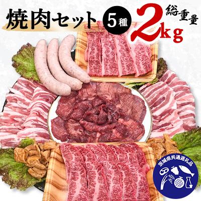 ふるさと納税 潮来市 焼肉セット(茨城県産常陸牛カルビ行方市産美明豚バラフランク味付牛タン・ホルモン)[茨城県共通返礼品]