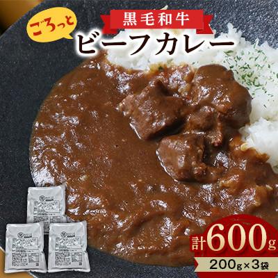 ふるさと納税 松原市 [創業100年老舗食肉加工卸厳選]黒毛和牛 ごろっとビーフカレー200g×3