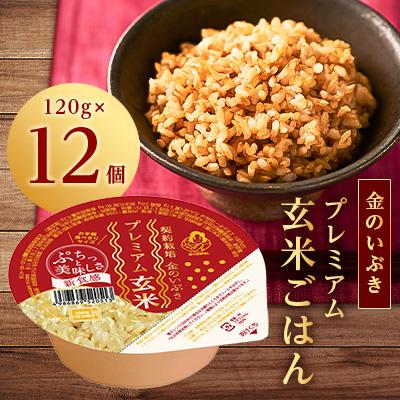 ふるさと納税 松原市 金のいぶきプレミアム玄米ごはん120g×12個