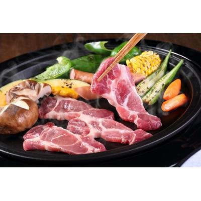 ふるさと納税 中津市 [中津市]お米育ちの錦雲豚 焼肉ギフト 600g(ロース・バラ各300g)