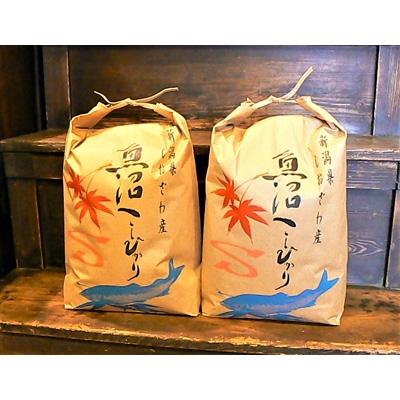 ふるさと納税 南魚沼市 令和7年産 [語り伝えられる地]南魚沼しおざわ産コシヒカリ10Kg(玄米)