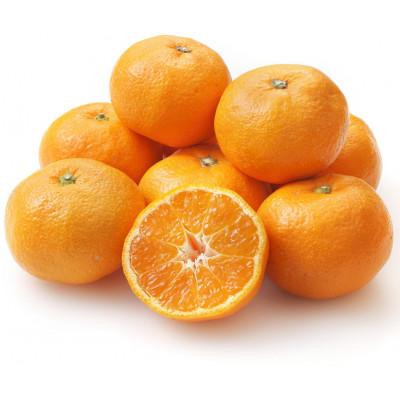 ふるさと納税 観音寺市 2026年度 石地みかん フリーサイズ(2S〜L) 約5kg