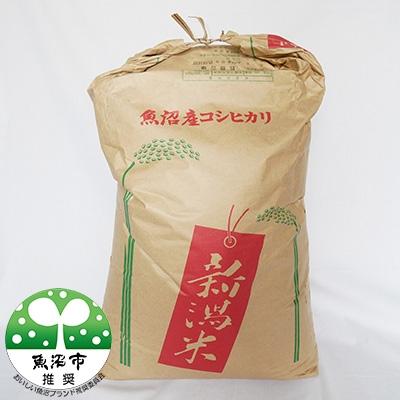 ふるさと納税 魚沼市 令和7年産 真砂屋厳選 魚沼産コシヒカリ 玄米 30kg