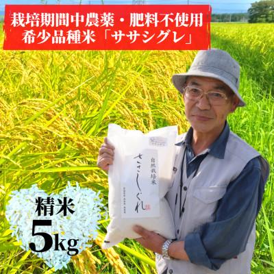 ふるさと納税 加美町 [希少品種米]令和5年産 宮城県産幻の米「ササシグレ」精米5kg(栽培期間中農薬・肥料不使用)