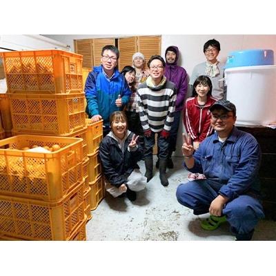 ふるさと納税 玉名市 玉名市産甘口みかんワイン　ぶさいくワイン　720ml 