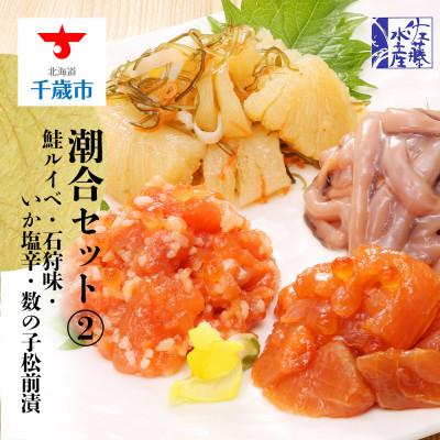 安い 千歳市 ふるさと納税 佐藤水産 潮合セット2 鮭ルイベ漬 石狩味 いか塩辛 ひとくち数の子松前漬の4種 最先端 Www Univag Tn