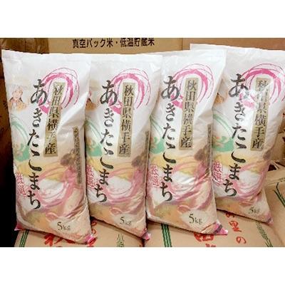 ふるさと納税 横手市 横手市平鹿町醍醐地区産　厳選あきたこまち計100kg(精米)【20kg×5回発送】