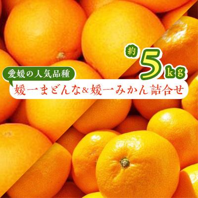 ふるさと納税 八幡浜市 【2025年11月以降発送】「媛一みかん」と「媛一まどんな」の2品種・約5kg【C28-29】