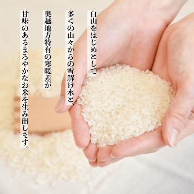 ずっと気になってた 勝山市 ふるさと納税 コシヒカリ コシヒカリ 精米 10kg 令和3年産 白山の恵み 勝山市 ふるさと納税 米 雑穀 粉類 Postetelecom Gouv Cg