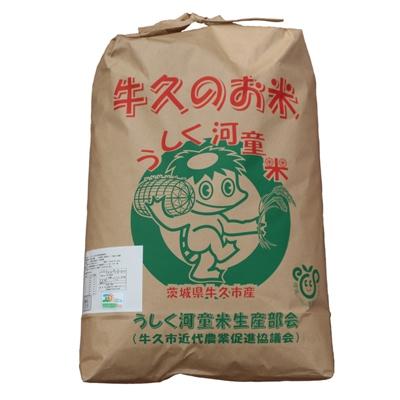 牛久市 ふるさと納税 11月発送 ファッション通販 ふるさと割 特別栽培米 うしく河童米7kg 新米