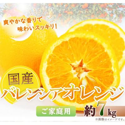ふるさと納税 広川町 [広川町][ご家庭用]希少な国産バレンシアオレンジ 7kg