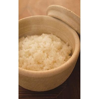 ふるさと納税 伊賀市 長谷園 伊賀焼 おひつ「陶珍」粉引大(ごはん約2合