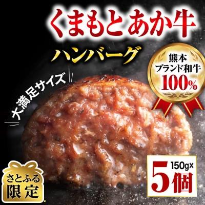 ふるさと納税 玉名市 [さとふる限定]くまもとあか牛ハンバーグ150gx5個 熊本県玉名市