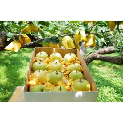 ふるさと納税 東峰村 やなファーム　20世紀梨　5kg　東峰村