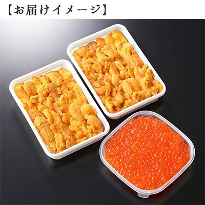 ふるさと納税 弟子屈町 ウニ 200g & いくら醤油漬け 200g 海鮮丼 北海道 弟子屈町 1725｜y-sf｜04