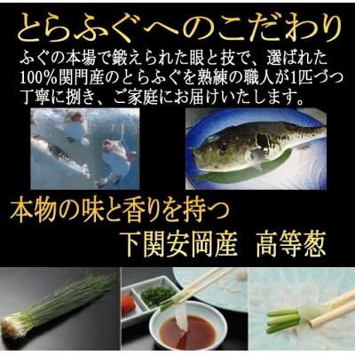 ふるさと納税 北九州市 【生・冷蔵便】とらふぐ三昧セット(刺身・鍋4〜5人前)FI22-S66_2