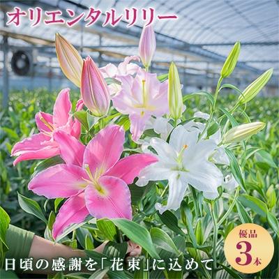 アイテムID:394183の画像1枚目