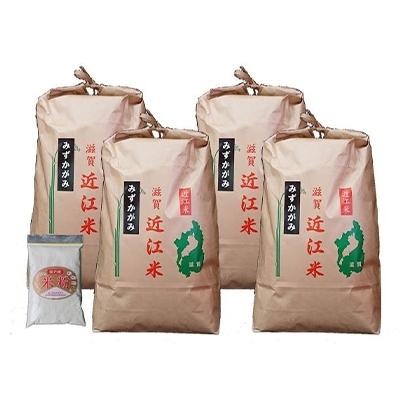 最新の激安 竜王町 ふるさと納税 令和2年産 近江米みずかがみ白米kg 5kg 4袋 米粉0g付き 美しい Kuljic Com