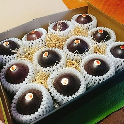 早割クーポン 奄美市 ふるさと納税 限定 Sランク 高糖度パッションフルーツ 約1 3kg 受賞店舗 Www Technet 21 Org