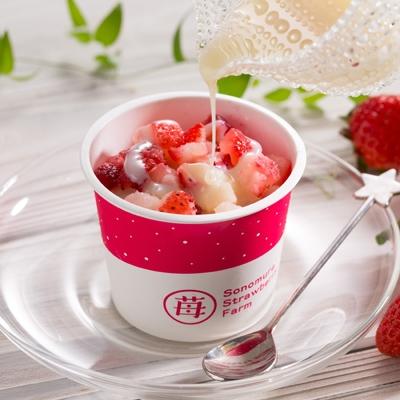 ふるさと納税 宇土市 熊本県宇土産 完熟冷凍いちご「ぷち苺」8カップ in くまモン 練乳付き 園村苺園 