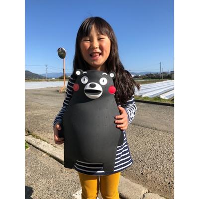 ⭐公式品⭐ ふるさと納税 宇土市 熊本県宇土産 完熟冷凍いちご「さら苺」8カップ in くまモン 練乳付き 園村苺園 【1835528812】(11750円)