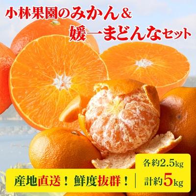ふるさと納税 八幡浜市 小林果園のみかん&amp;媛一まどんなセット(各約2.5kg入)[C24-17]