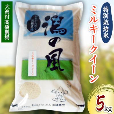 ふるさと納税 大潟村 大潟村高橋農場 特別栽培米「ミルキークイーン
