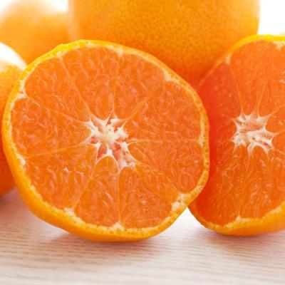 人気ブランド 高野町 ふるさと納税 ブランドみかん 田村みかん約5kg Sサイズ 秀品 格安人気 Kuljic Com