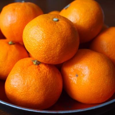 ふるさと納税 高野町 [秀品]和歌山有田みかん約10kg(2Sサイズ)【高野町】 | 