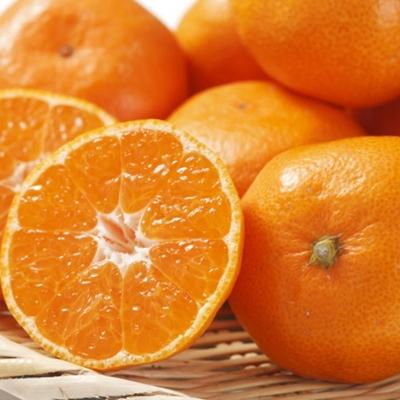 ふるさと納税 高野町 [秀品]和歌山有田みかん約10kg(2Sサイズ)【高野町】 |  | 01