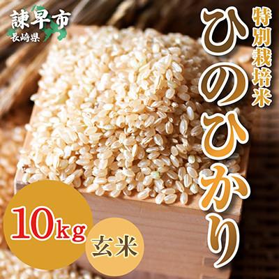 ふるさと納税 諫早市 【令和7年産】特別栽培米・九州のこだわり米「ひ