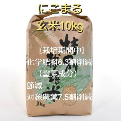 ふるさと納税 諫早市 [令和5年産] 特別栽培米・九州のこだわり米「にこまる」玄米10kg