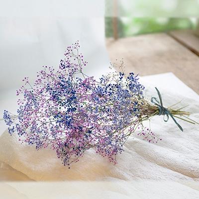 ドライフラワー かすみ草 Www Microrio Com Br