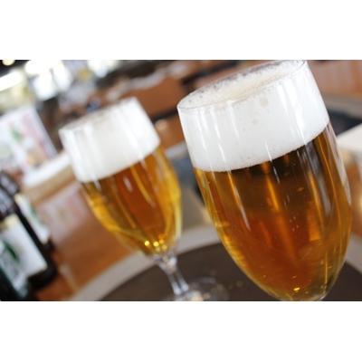 ふるさと納税 千歳市 北海道千歳工場製造 キリン 一番搾り 500ml缶×24本|y-sf|02