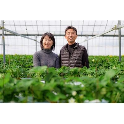 ふるさと納税 江北町 【3月4月発送】苺の食べ比べ いちごさんとさがほのか【2種4パック計約1kg】|y-sf|04