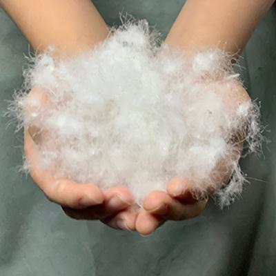 ふるさと納税 泉佐野市 国産 プレミアム 羽毛布団 1枚 シングル 150cm&times;210cm アイボリー 099H3095