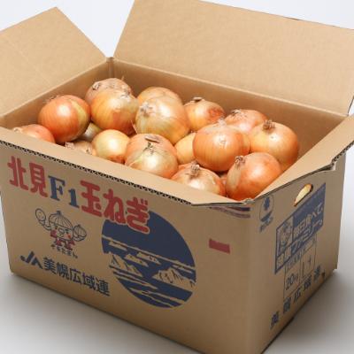 ふるさと納税 美幌町 【先行受付】玉ねぎLサイズ・20kg : さとふる