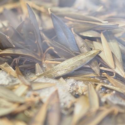 ふるさと納税 高松市 【受注生産】　瀬戸内がたくさん詰まった、オリーブ染めミニボストンバッグ　栃木レザーバンドタイプの画像