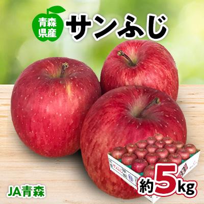 ふるさと納税 青森市 JA青森 青森県産りんご「サンふじ」約5kg : さと