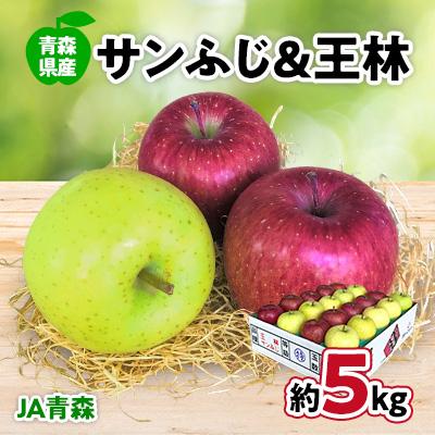 最も 完成品 ふるさと納税 青森市 JA青森 青森県産りんご サンふじ王林詰合せ 約5kg_A1-2 cartoontrade.com cartoontrade.com