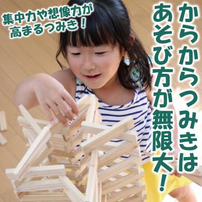ふるさと納税 三股町 みやざきスギのつみき からからつみき108(240枚入)【A-1702】の画像