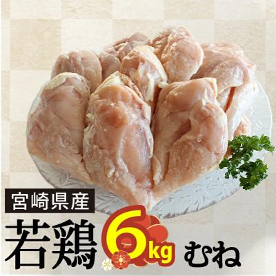 ふるさと納税 美郷町 宮崎県産若鶏むね肉 1kg×6パック 合計6000g