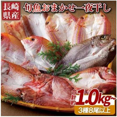 ふるさと納税 佐世保市 長崎県産「おまかせ旬魚」目利き店長の一夜干しセット(3種以上・8尾以上)