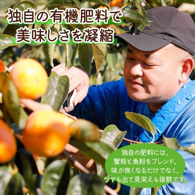 ふるさと納税 本巣市 福井農園の富有柿ご家庭用3kg(12〜14個入り)M、L、2Lサイズ